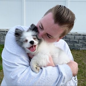 Meet your Posher, Sean